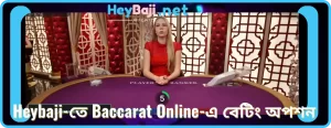 Heybaji-তে Baccarat Online-এ বেটিং অপশন