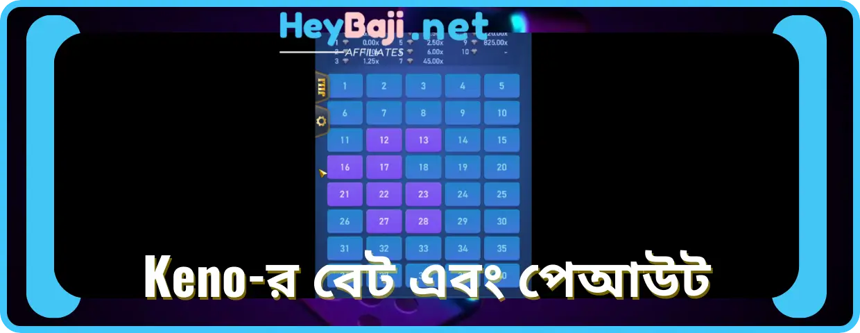 Keno-র বেট এবং পেআউট