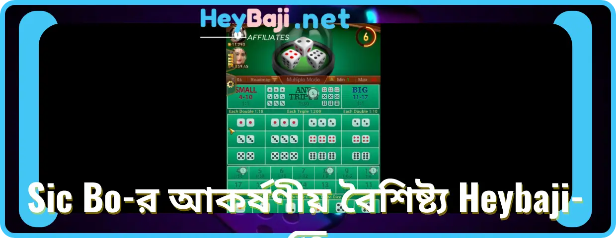 Sic Bo-র আকর্ষণীয় বৈশিষ্ট্য Heybaji-তে